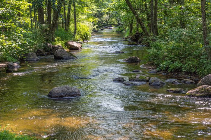 Gently Down the Stream…